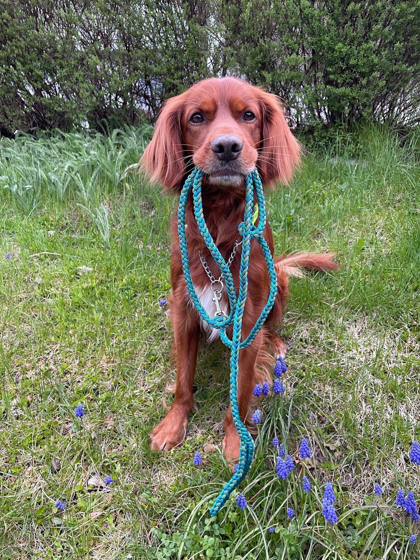 Oskar